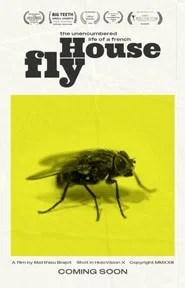 The Unencumbered Life of a French House Fly