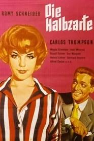 Die Halbzarte