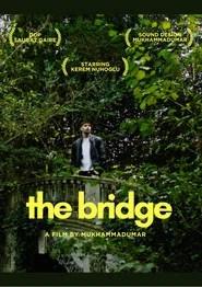 The Bridge