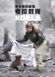 Koala Rescue