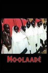 Moolaad&eacute;