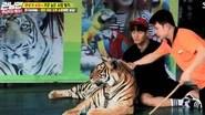 Running Man Season 1 Episode 391
