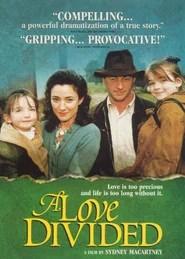 A Love Divided