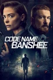 Code Name Banshee