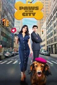 Paws in the City