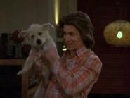 That '70s Show Season 8 Episode 20
