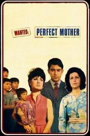 Wanted: Perfect Mother