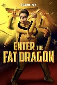 Enter the Fat Dragon
