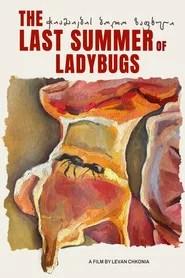 The Last Summer of Ladybugs