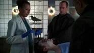 Law & Order: Special Victims Unit Season 8 Episode 17