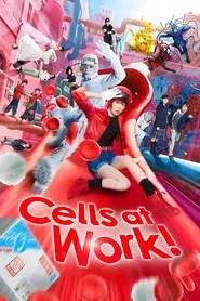 Cells at Work!