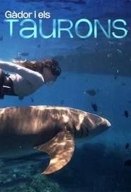 G&agrave;dor i els taurons