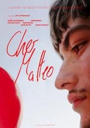 Cher Matteo