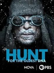 Hunt for the Oldest DNA