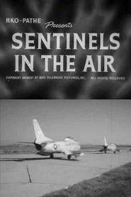 Sentinels in the Air