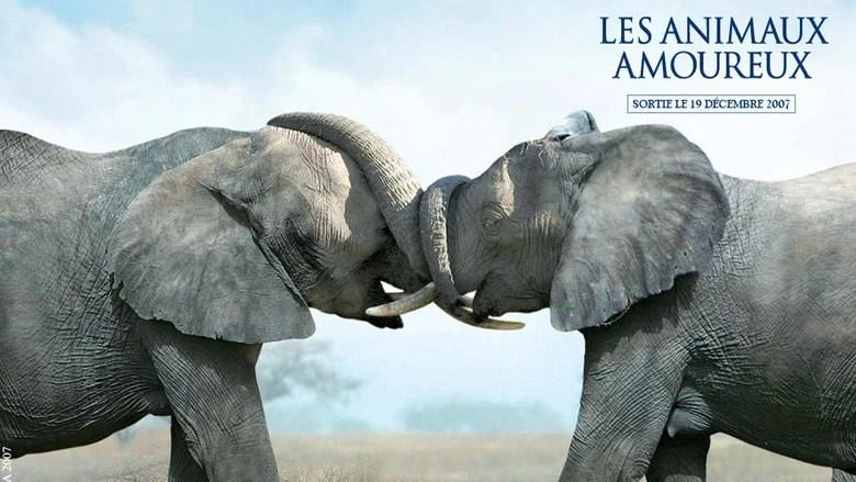 Animals in Love (2007)