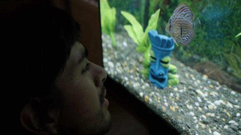 Notes from a Fish (2025)